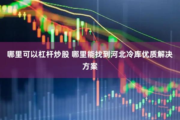 哪里可以杠杆炒股 哪里能找到河北冷库优质解决方案