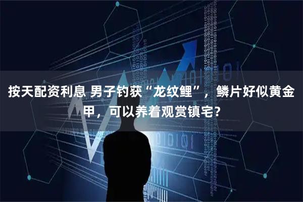 按天配资利息 男子钓获“龙纹鲤”，鳞片好似黄金甲，可以养着观赏镇宅？